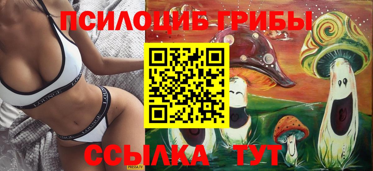 Галлюциногенные грибы мухоморы  Псилоцибиновые грибы ЛСД  Вход с VPN  Нальчик 